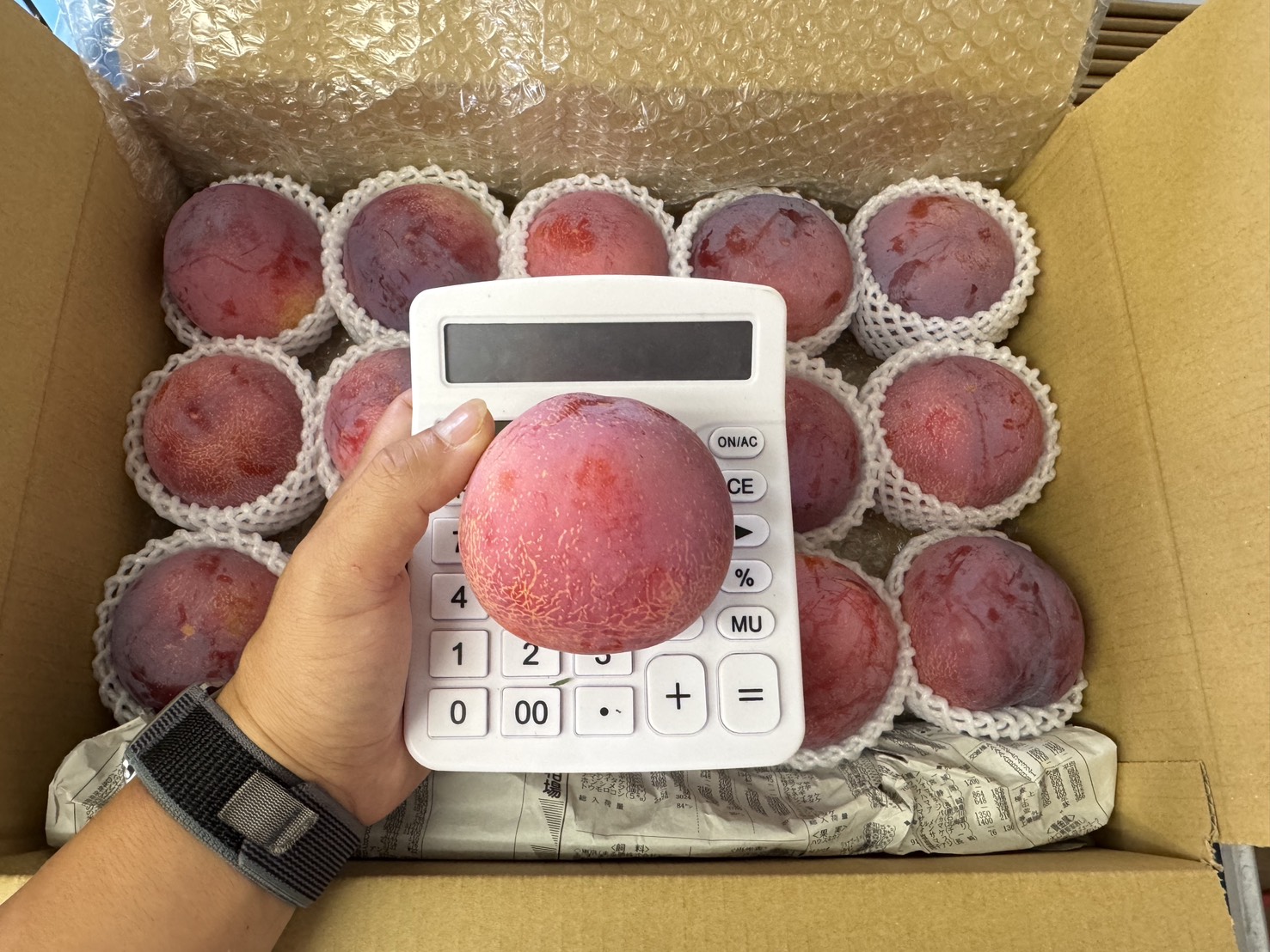 画像3